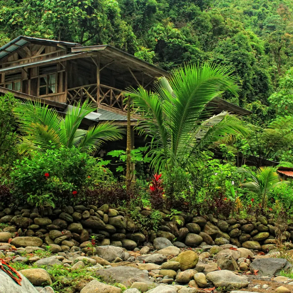 Back to Nature Ecotourism located on the border of Gunung Leuser National Parc and Bohorok River.