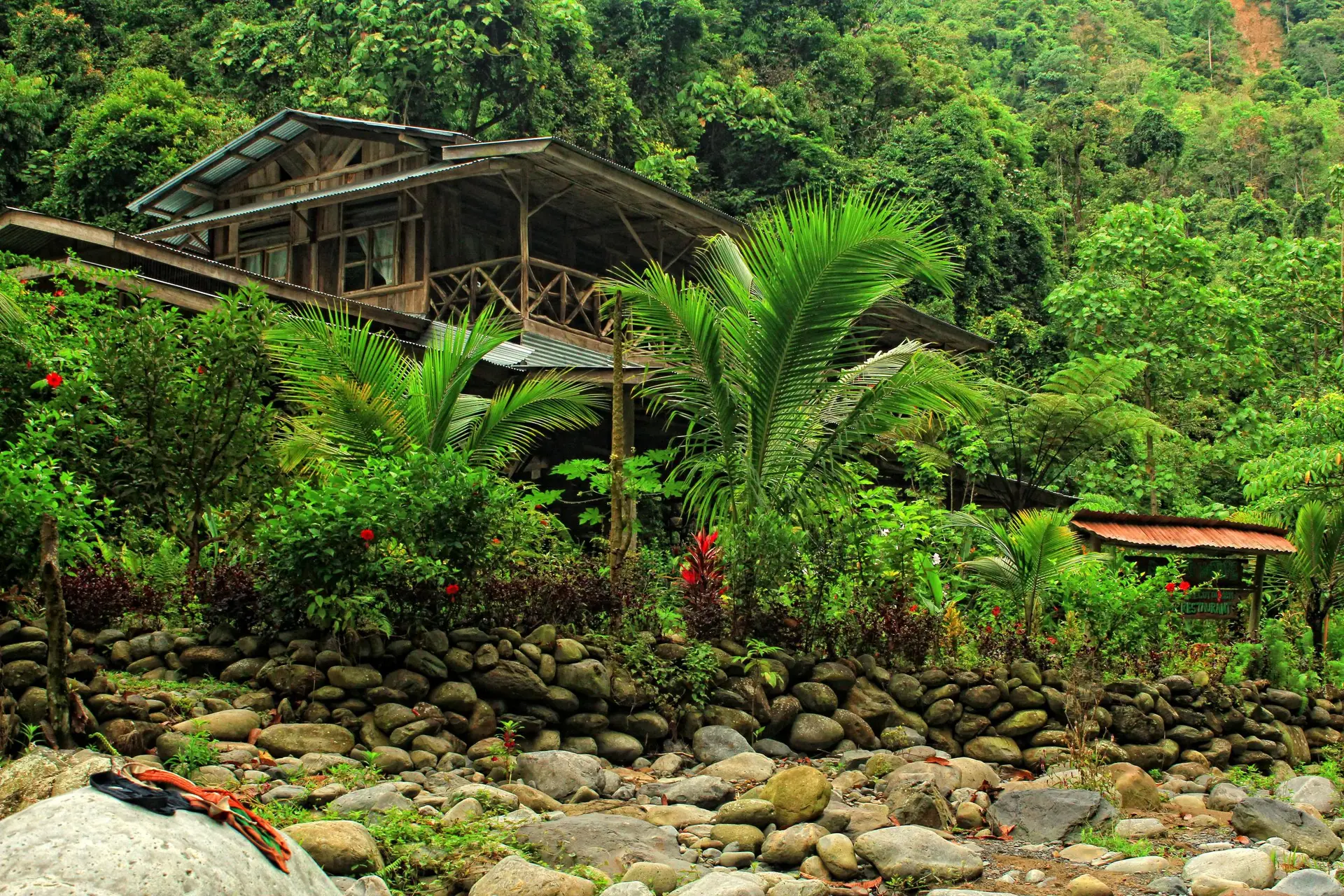 Back to Nature Guesthouse & Restaurant. The most hidden place in Bukit Lawang, in the middle of nature, surrounded by the North Sumatran rainforest and it's wildlife inhabitants. Eco-friendly lodge.