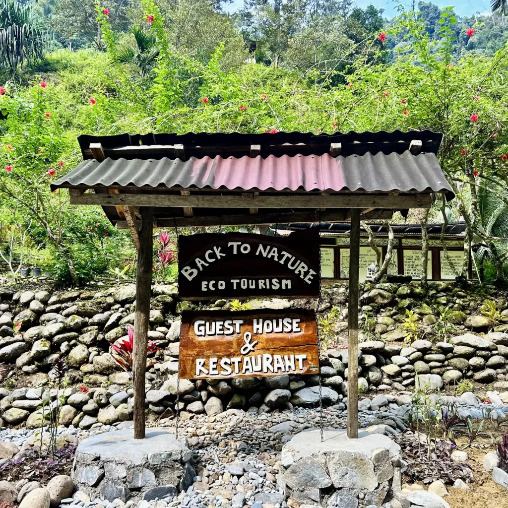 Back to Nature Ecotourisme. Eco-friendly lodge situated in the jungle.