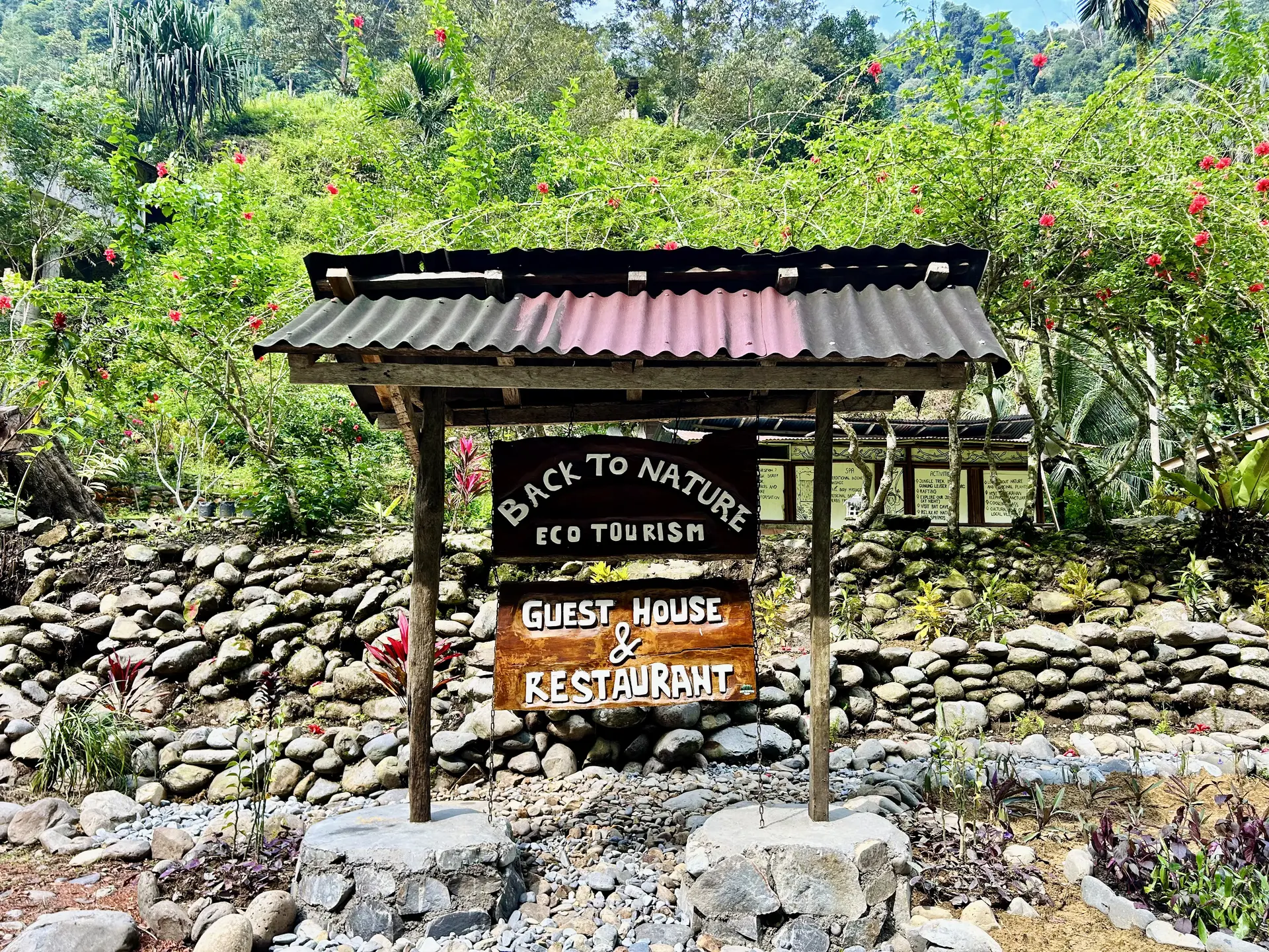 Back to Nature Ecotourisme. Eco-friendly lodge situated in the jungle.