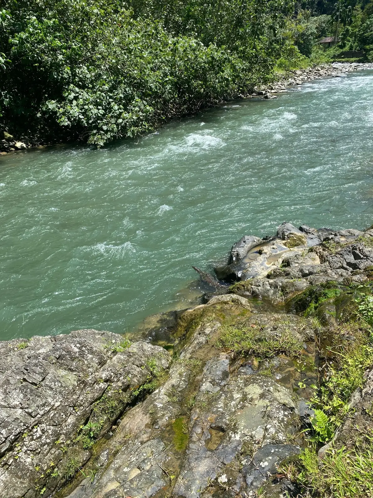 Bohorok River corridor in Bukit Lawang