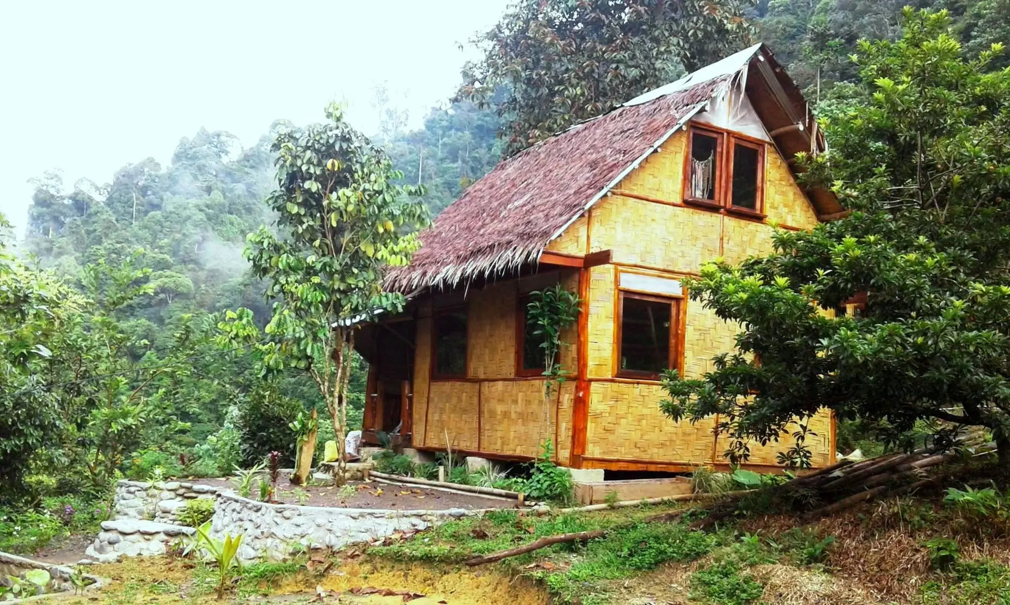 Forest lodge at Back to Nature Ecotourism
