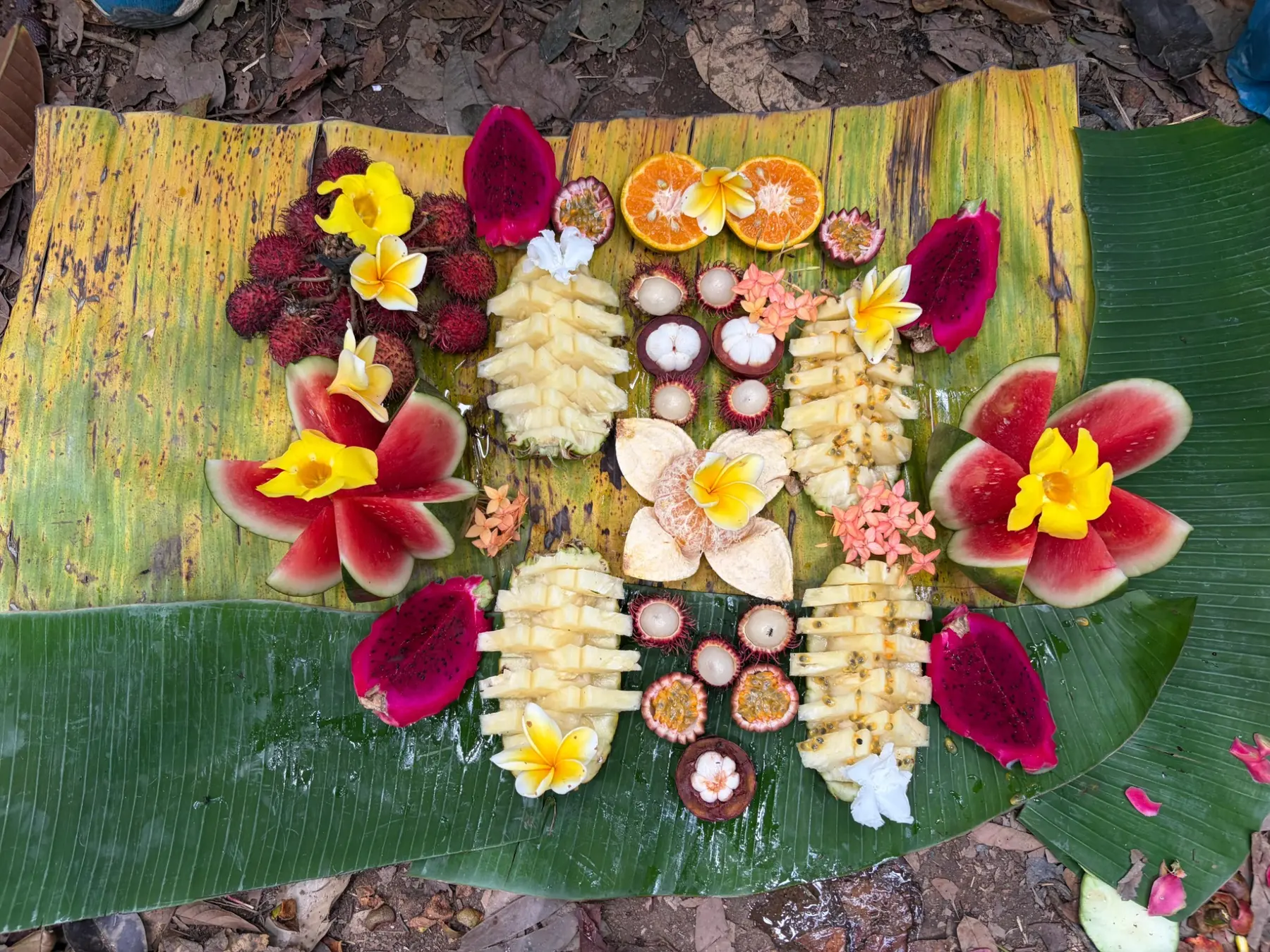 Tropical fruit arranged on banana leaves during a jungle trek
