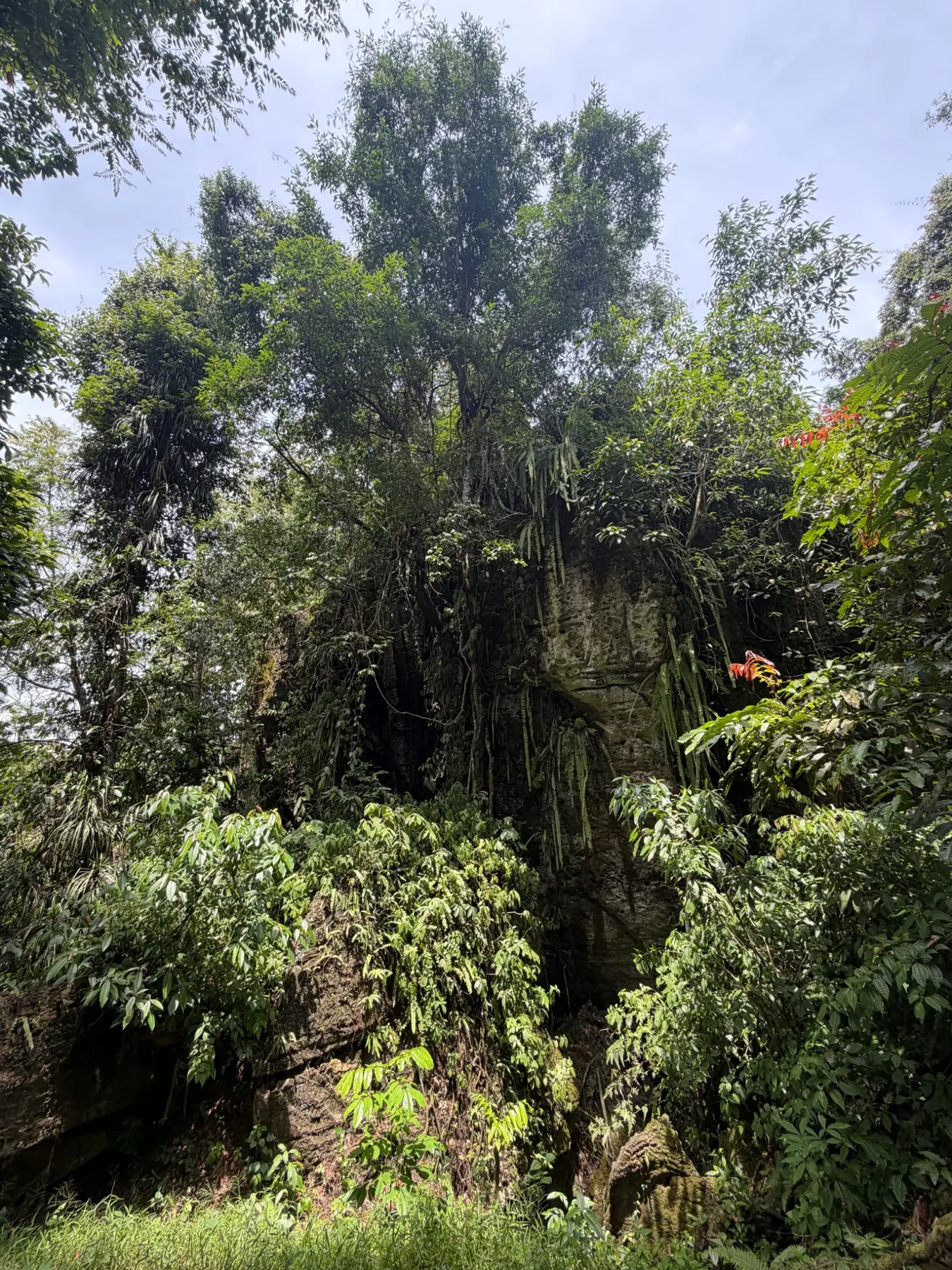 Rainforest cliffs and sunlight in North Sumatra