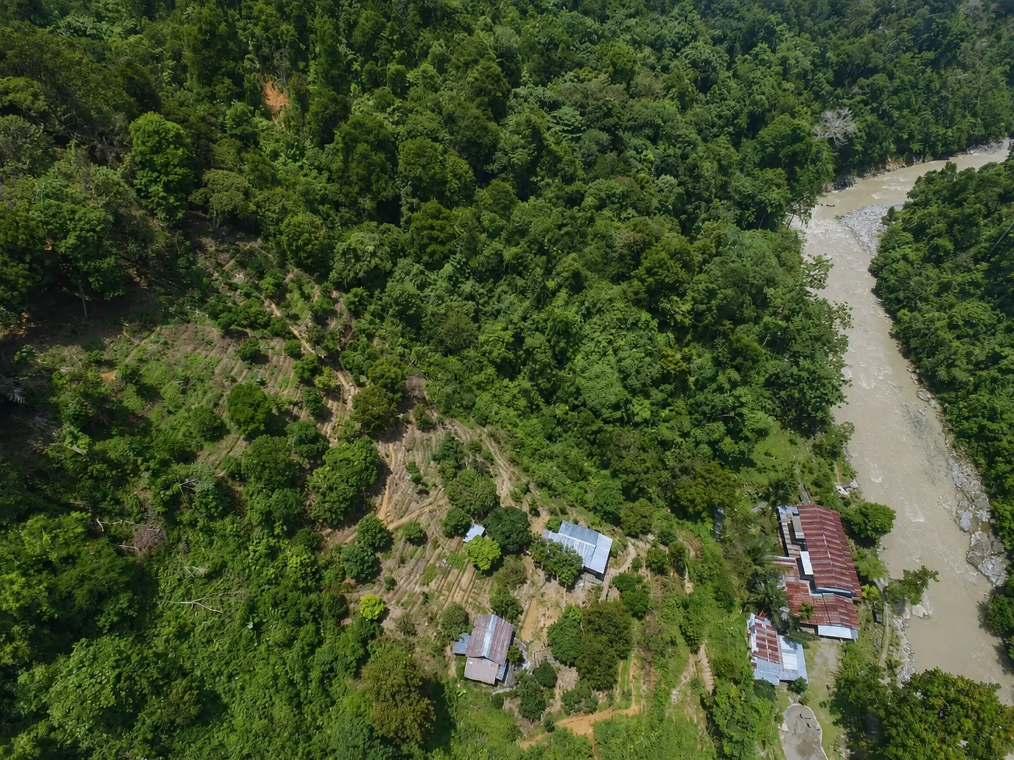 Aerial view of Back to Nature Ecotourism beside the Bohorok River and rainforest
