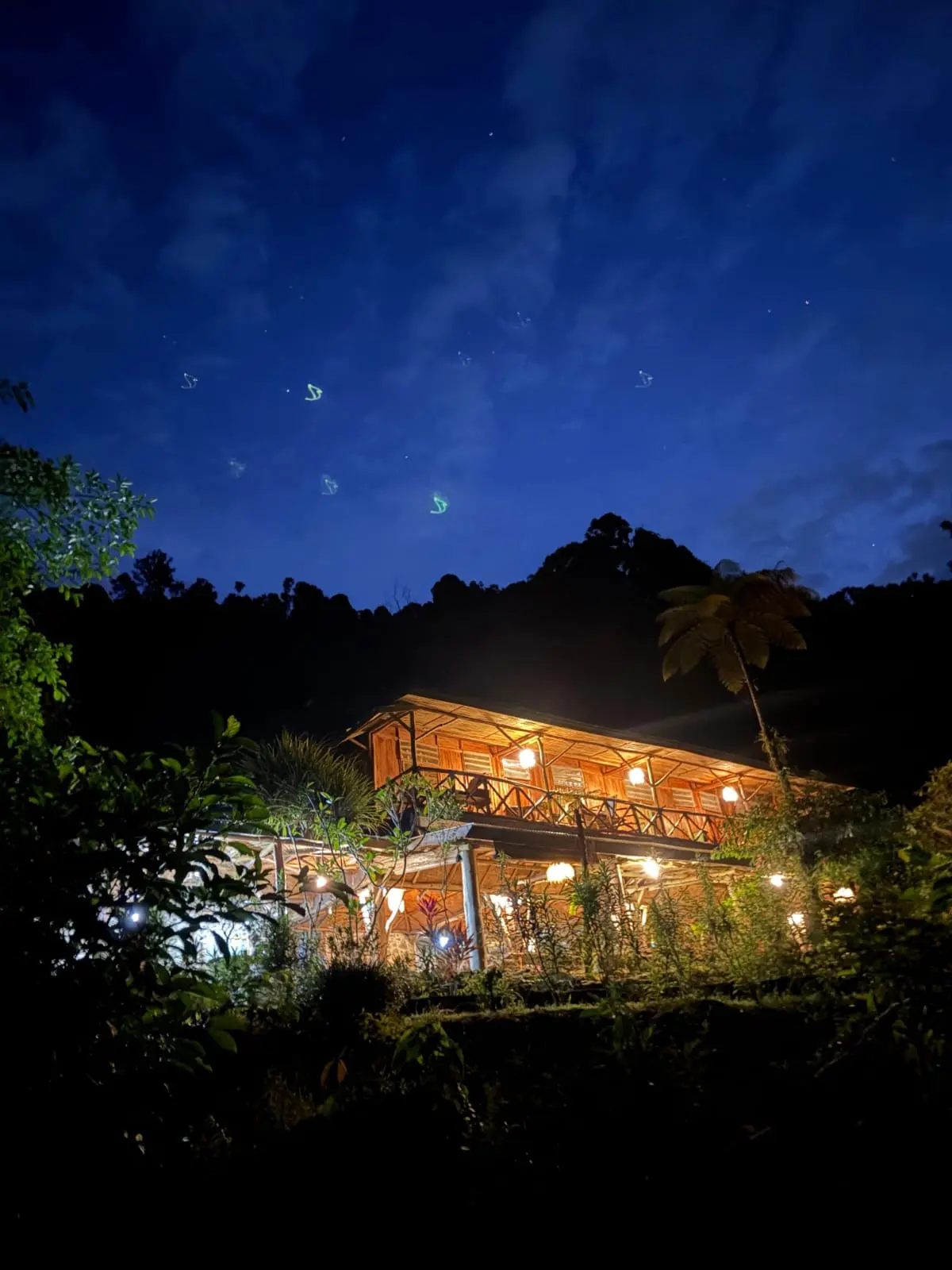 Back to Nature eco-lodge glowing beneath the Bukit Lawang night sky