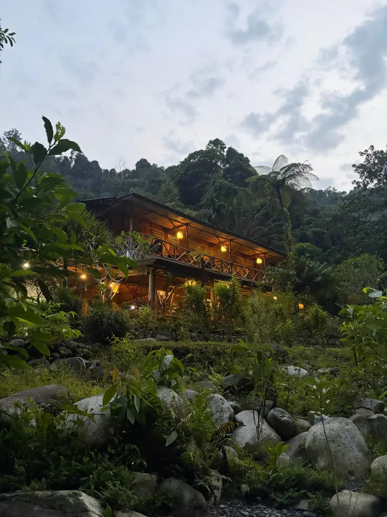 Back to Nature main lodge glowing at dusk in the rainforest
