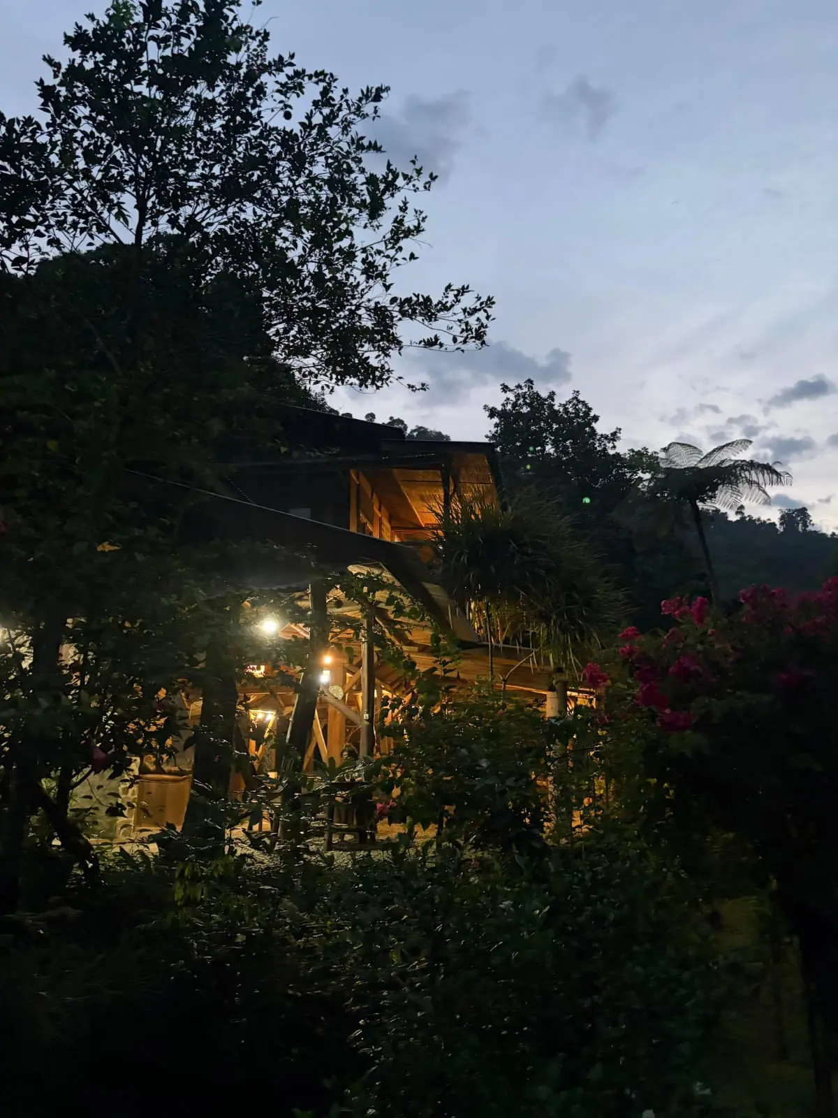 Back to Nature lodge hidden among tropical plants at dusk