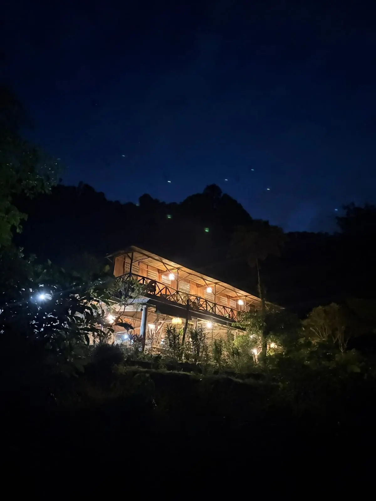 Warm lodge lights beneath the rainforest night sky