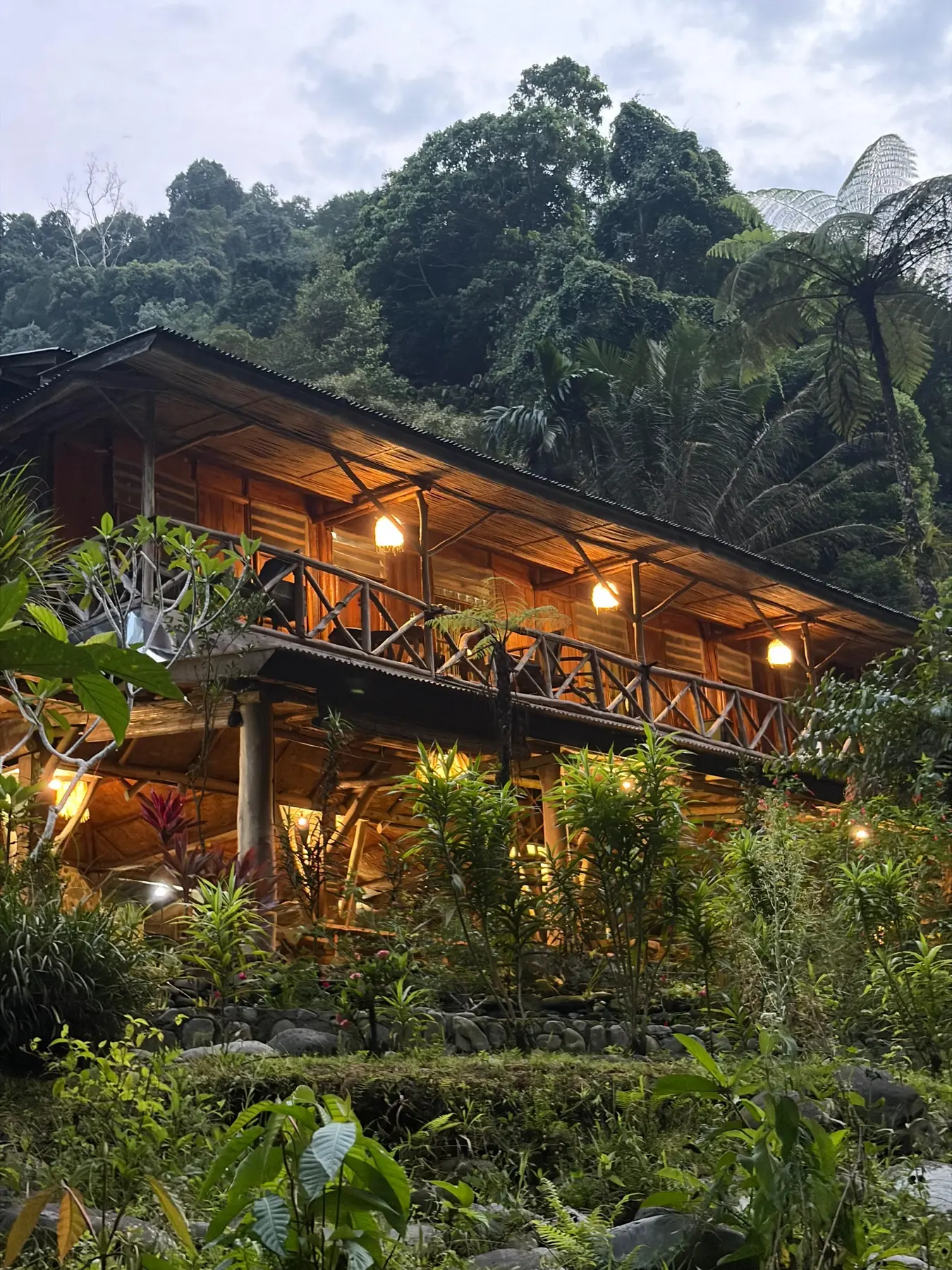 Wooden veranda overlooking the rainforest at Back to Nature