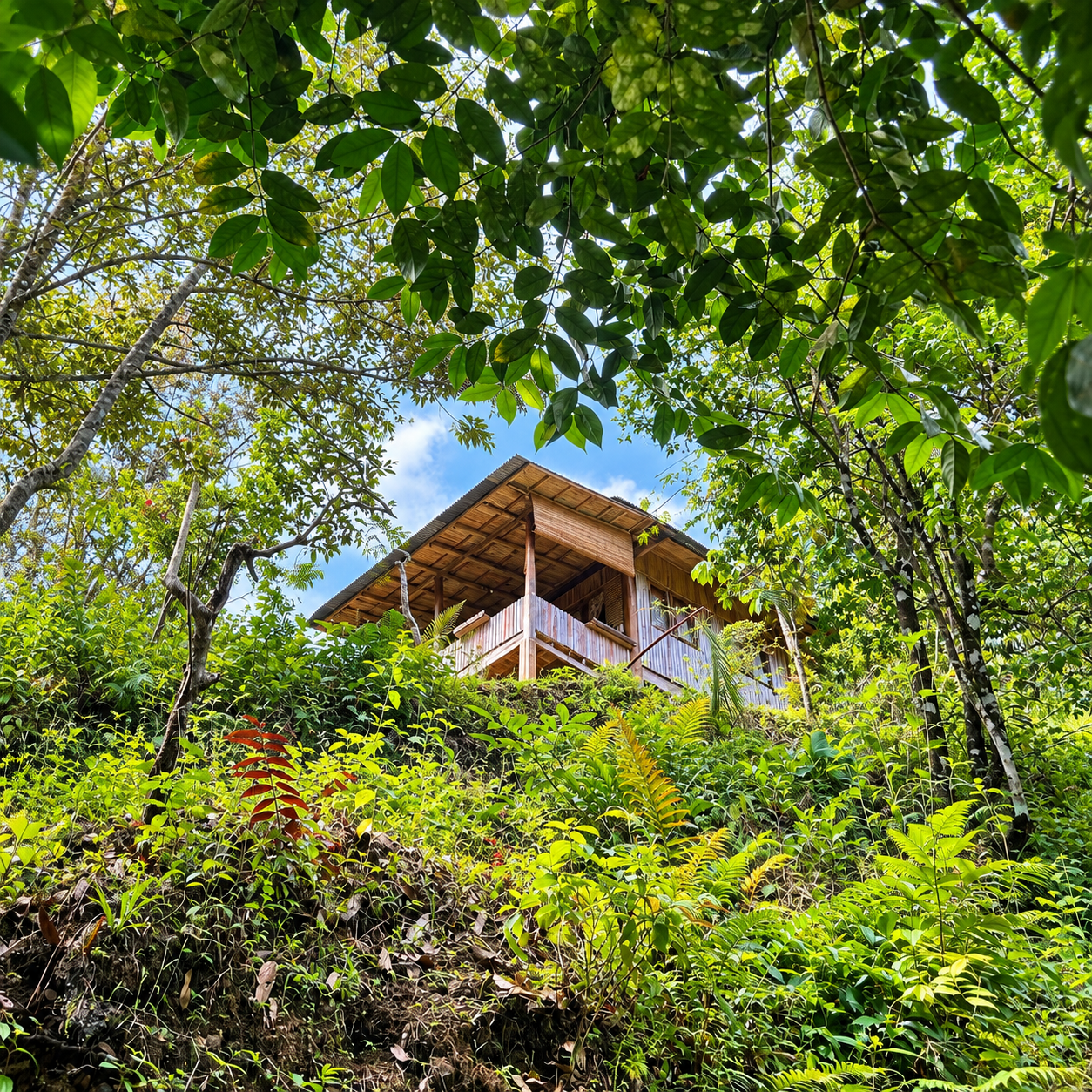 Forest Bungalow exterior at Back to Nature